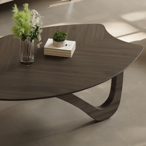 Masa living premium Venn, masa cafea Homedit