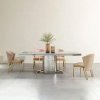 Masa Dining Moonlit Silver, Premium, 220 x 100 x 75 cm, Homedit