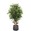 Copac Artificial Banyan Tree A, 150 cm, Pentru Interior, Homedit